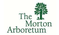 the-mortenum